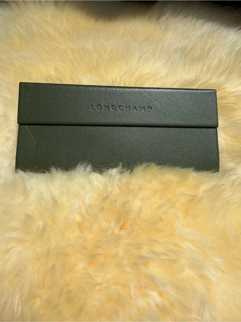 Longchamp Black Cat-Eye Sunglasses with Brown Gradient Lenses